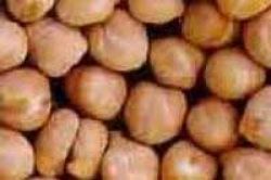historia y clases de garbanzos para tus platos