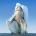 Avatar de OskarAC1